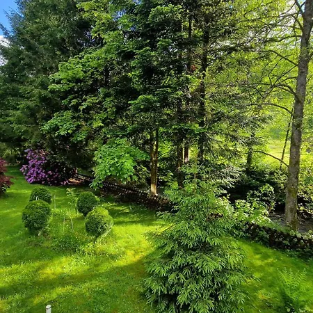 Schwanen Baiersbronn