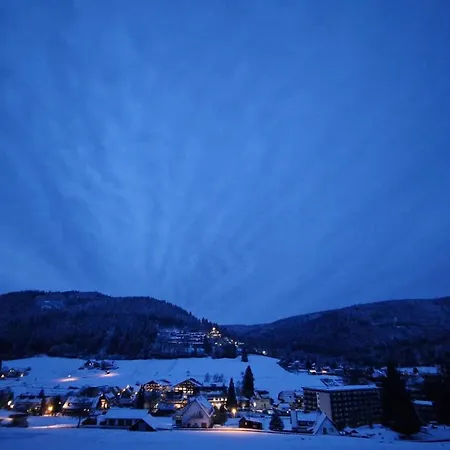 Schwanen-Resort Отель