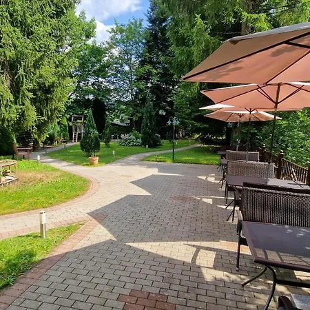 Отель Schwanen-Resort 3*