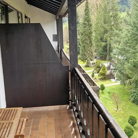 Hotel Schwanen-Resort 3*