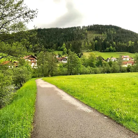 Hotel Schwanen