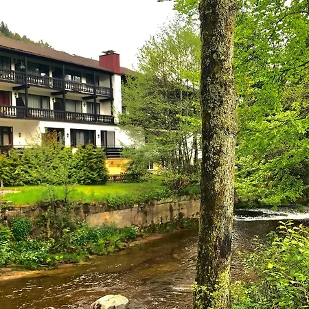 Schwanen-Resort 3* Байрсброн