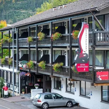 Schwanen-Resort Hotel 3*