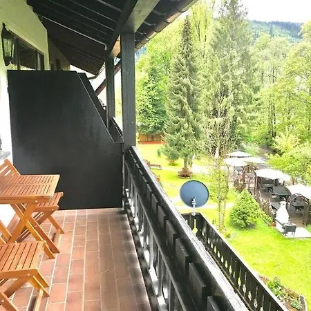 Отель Schwanen-Resort 3*