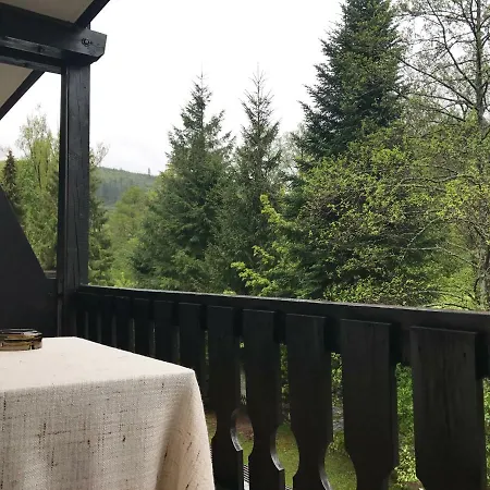 Schwanen-Resort 3* Байрсброн