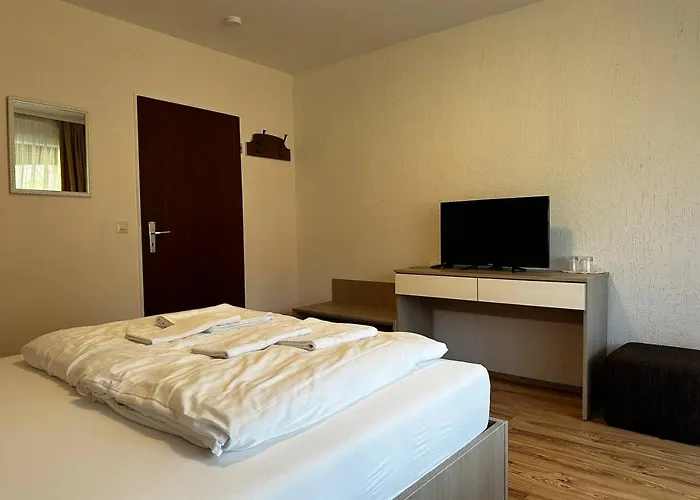 Schwanen-resort 3* Baiersbronn