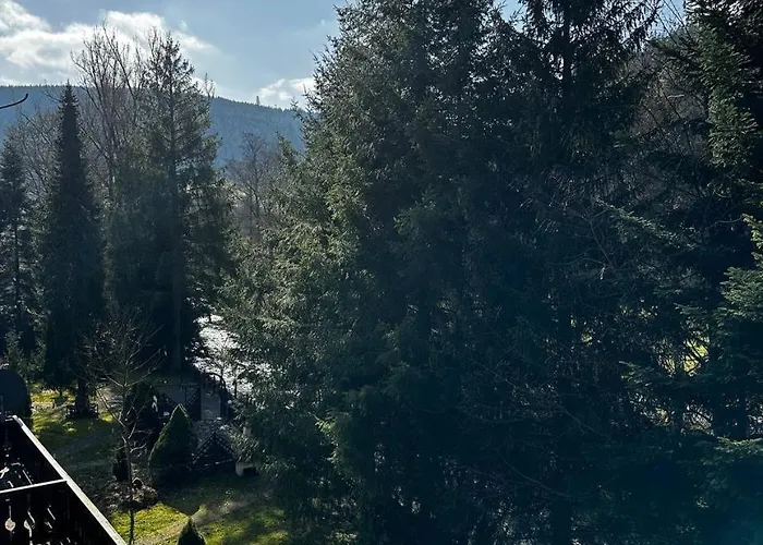 Schwanen-resort Baiersbronn