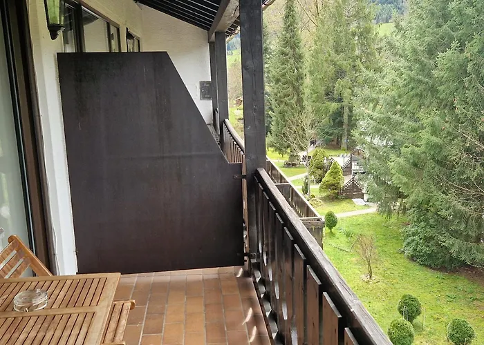 Ξενοδοχείο Schwanen-resort 3*