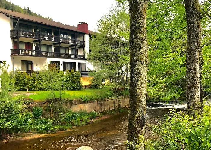 Schwanen-resort 3* Baiersbronn