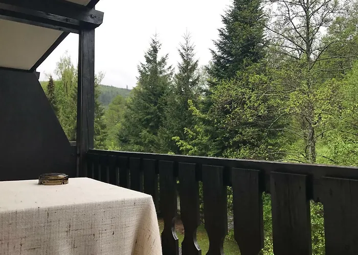 Schwanen-resort 3* Baiersbronn